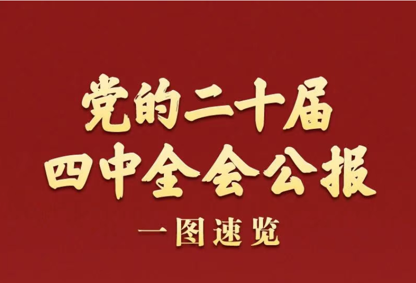 专题学习 | 党的二十届四中全会公报一图速览